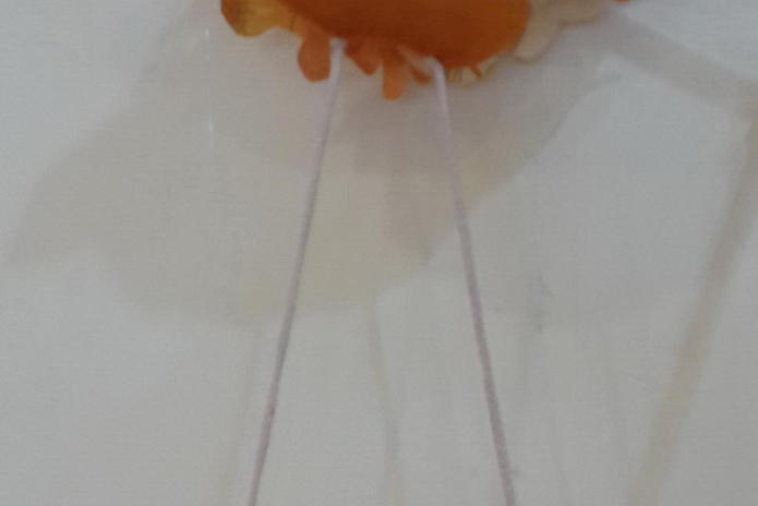 В Казахстане нет смысла вводить специальный налог на роскошь – Б.Жамишев